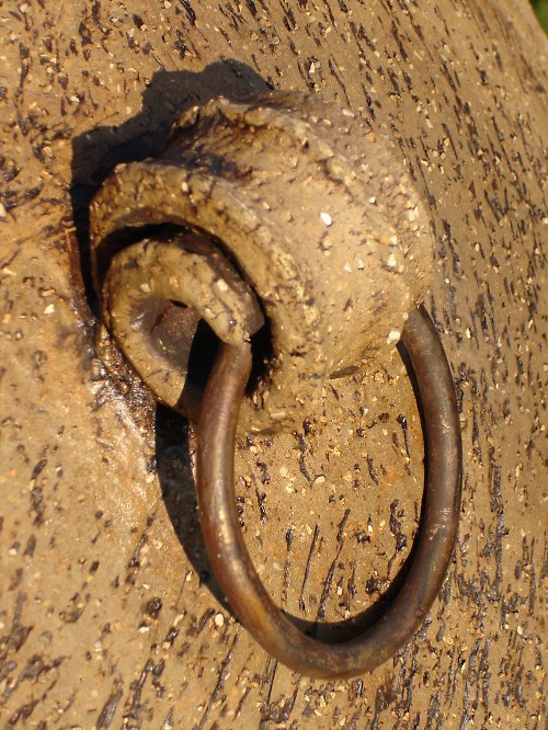 Detail ucha