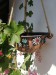 IMG_20210724_103240